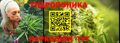 скорость Заводоуковск